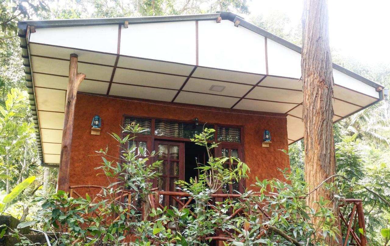 Birds Song Home Ella Exterior foto